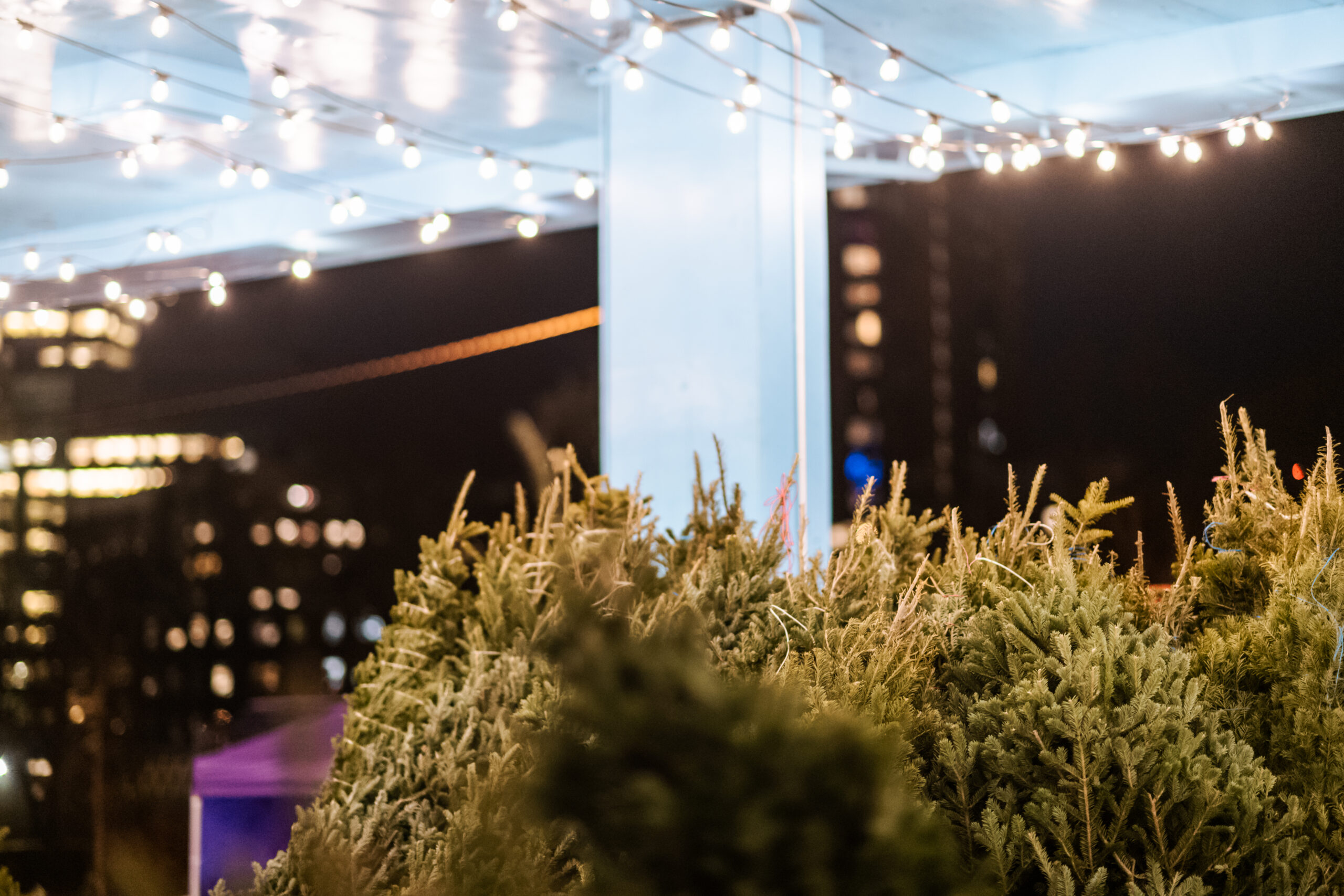 Station 401 Park Market